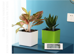 Water-Absorbing Planter