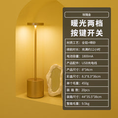 USB Rechargeable Decorative Table Lamp for Indoor & Outdoor