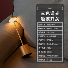 USB Rechargeable Decorative Table Lamp for Indoor & Outdoor