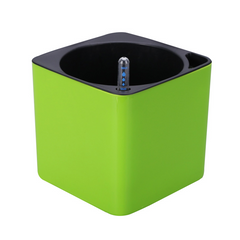 Water-Absorbing Planter
