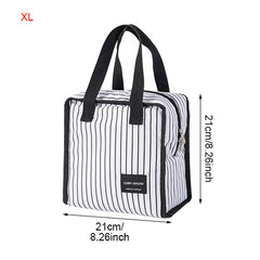 Fashionable Mini Insulated Lunch Bag for Picnics