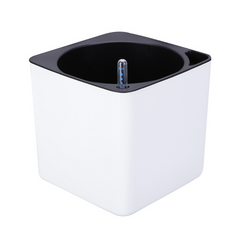 Water-Absorbing Planter